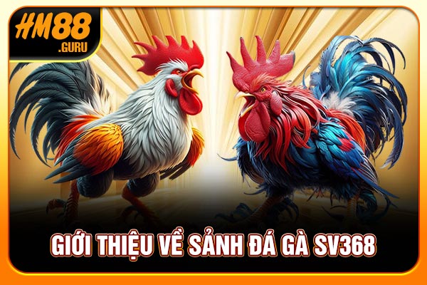 Giới thiệu về sảnh đá gà SV368