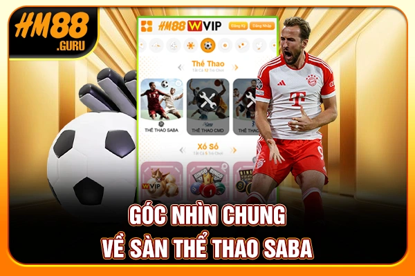 Góc nhìn chung về sàn thể thao Saba Góc nhìn chung về sàn thể thao Saba