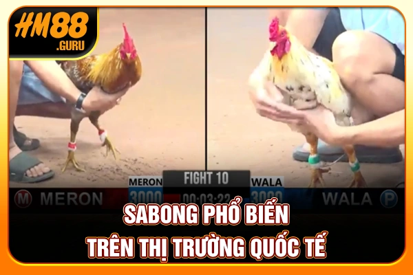 Sabong phổ biến trên thị trường quốc tế Sabong phổ biến trên thị trường quốc tế