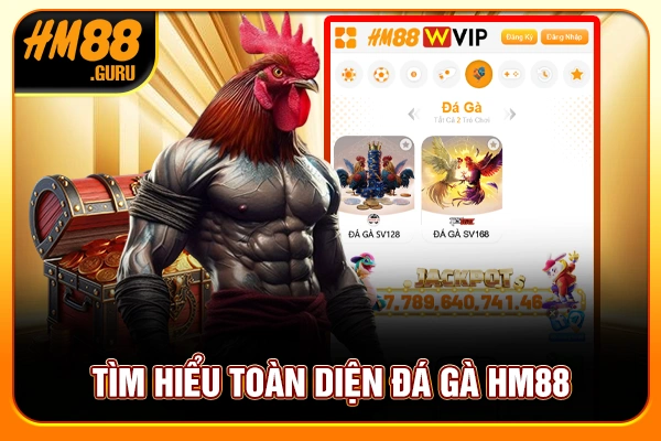 Tìm hiểu toàn diện đá gà HM88 Tìm hiểu toàn diện đá gà HM88